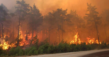 Marmaris Bördübet orman yangını söndü mü? Marmaris orman yangını nasıl ve neden çıktı?