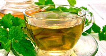 Melisa çayı faydaları nelerdir, neye iyi gelir, kimler içmemeli, nasıl demlenir? İshalin doğal ilacı melisa çayının 6 faydası