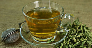 Melisa çayı neye iyi gelir? Faydaları nelerdir?