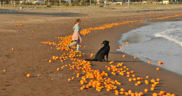 Mersin’den görenleri hayrete düşüren görüntüler: Sahile portakal vurdu!