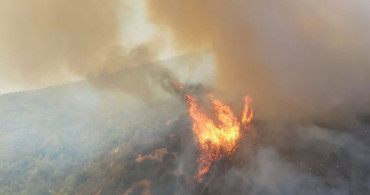 Muğla'da İki Noktada Orman Yangını Çıktı