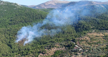 Muğla’da orman yangını: Ekipler müdahale ediyor