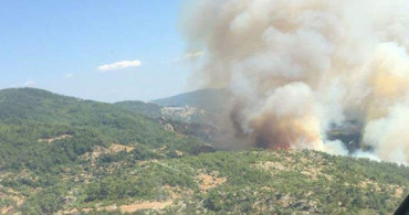 Muğla'da Orman Yangını