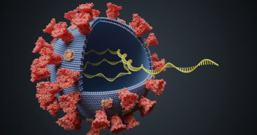 Mutasyonlu Koronavirüsün En Yaygın Görülen Semptomları Açıklandı