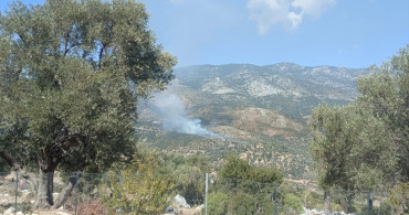 Muğla'da Yangın: 2 Hektar Alan Zarar Gördü