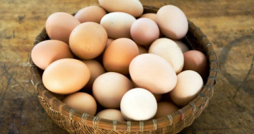 Organik Yumurta Nasıl Anlaşılır?
