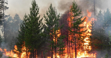 Uzmanlar Açıkladı! Orman Yangınları Neden Söndürülemiyor? İşte Detaylar…