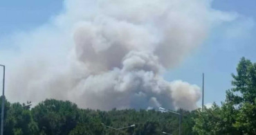 Ormanlarımız yanıyor! İzmir ve Kırklareli'nden sonra şimdi de Manisa'da korkutan orman yangınına ekipler müdahale ediyor
