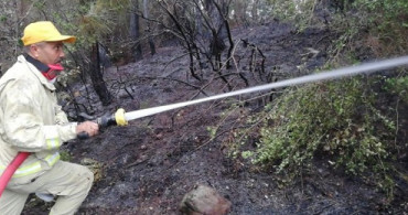 Osmaniye'de Orman Yangını: 2 Hektar Kızıl Çam Ormanı Zarar Gördü