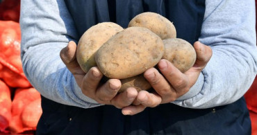 Patates İthalatında Sıfır Gümrük Vergisi Uygulaması 31 Mayıs'a Kadar Uzatıldı