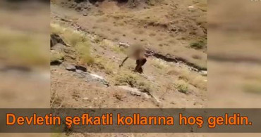 PKK'da Çözülme Artıyor! Hakkari'de Teslim Oldu