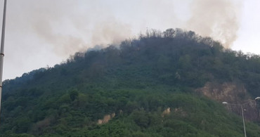 Rize'de Orman Yangını