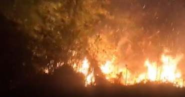 Rize'de Orman Yangını Söndürüldü