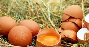 Rüyada yumurta görmek ne anlama geliyor? Rüyada yumurta görmenin psikolojik yorumu nedir? Nelere dikkat etmek gerekir?