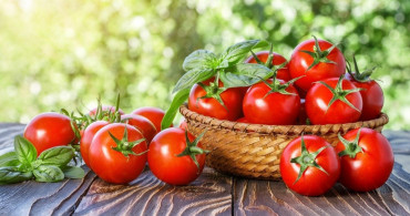 Sahurda tüketilmesi gereken mucizevi besin domates: İşte domatesin faydaları