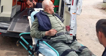 Sakarya'da başıboş köpek dehşeti! Yaşlı adam feci şekilde yaralandı