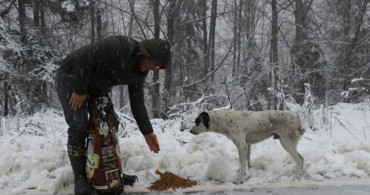 Sakarya'da Hayvanseverler Kar Yağışı Nedeniyle Yiyecek Bulamayan Sokak Hayvanlarını Unutmadı!
