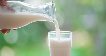 Sarımsak sütle içilir mi, sarımsaklı süt ne işe yarar, kaç gün içilmeli? Astıma karşı savaşan sarımsaklı sütün faydaları