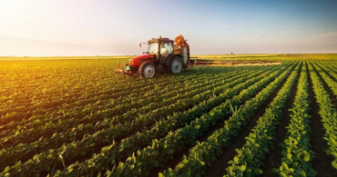 Sebze ve meyvede fahiş fiyat artışının nedenleri açıklandı: Yük çiftçilerde para aracıyla markette