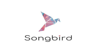 Sgb coin nedir? Songbird coin projesi ve yol haritası