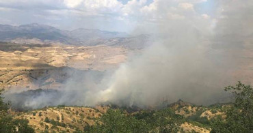 Siirt'te Orman Yangını Çıktı