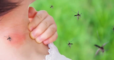 Sıtma tehlikesi: Uzmanlar alarm veriyor! Bu belirtiler sizi uyarıyor mu?