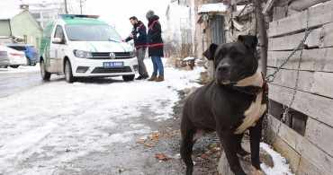 Sivas'ta Yasaklı Köpeği Gezdiren Gence 14 bin 982 TL Para Cezası Uygulandı