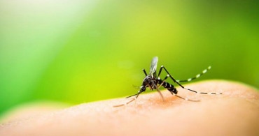 Sivrisinek Isırıklarına Vazelinli Çözüm