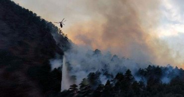 Son Dakika: Adana'da Ormanlık Alanda Yangın Çıktı!