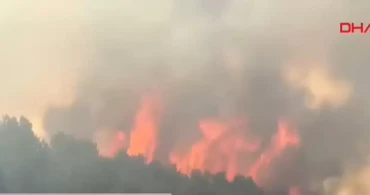 Son Dakika: Ankara Kızılcahamam'da Orman Yangını Çıktı!