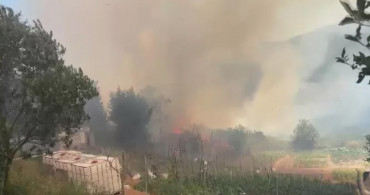 Son Dakika: Beykoz’da korkutan orman yangını, ekipler müdahale ediyor