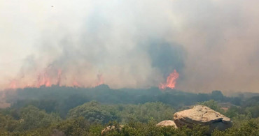 Son Dakika! Çanakkale'de korkutan orman yangını! Ekipler seferber oldu!