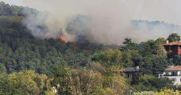 Son Dakika: İstanbul'da Ormanlık Alanda Yangın Meydana Geldi!