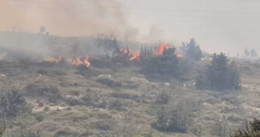 Son dakika: İzmir Çeşme'de orman yangını!