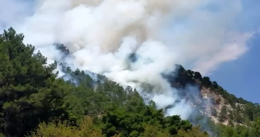 Son Dakika: Muğla, Antalya ve İzmir’de Orman Yangınları!