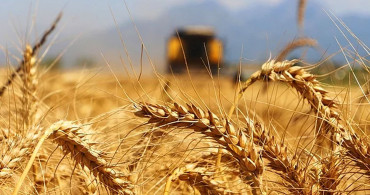 Son Dakika: Tarım Ürünlerinde Gümrük Vergisi Sıfıra Çekildi!
