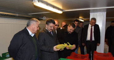 Tarım ve Orman Bakanı Bekir Pakdemirli: Renkli Taraftar Patatesleri Piyasaya Çıkacak