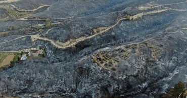 Tarım ve Orman Bakanı: Son 5 Günde 132 Yangından 125'ini Kontrol Altına Aldık