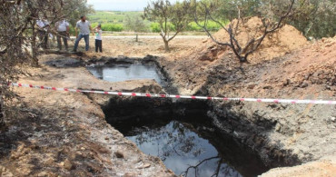 Tarlasından servet akıyor: 50 milyon dolar teklif ettiler