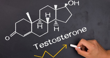 Testosteron Arttırma 