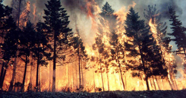 Trabzon ve Rize'de Korkutan Orman Yangınları!