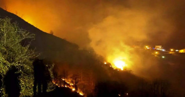 Trabzon’da korkutan orman yangını: Çok sayıda ekip bölgeye sevk edildi