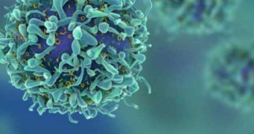 Tüm Kanser Türlerini Tedavi Edebilen Bir Virüs Bulundu!