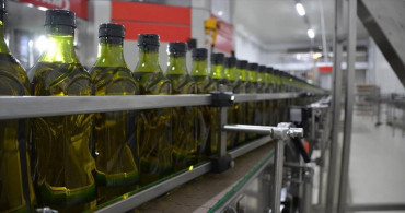 Türkiye zeytinyağı ihracatında coştu: 201 milyon dolar gelir elde edildi