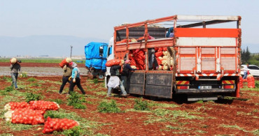 Türkiye’de hasat dönemi başladı: Fiyatı 10 liranın altına düşecek