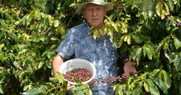 Türkiye'de İlk Defa Kahve Ağacından Meyve Hasat Edildi