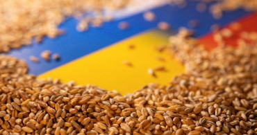 Ukrayna Rus gemilerine saldırmıştı: Rusya tahıl koridorundan çekildiğini duyurdu