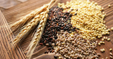 Ukrayna ve Rusya'dan gelecek tahıl ürünleriyle ilgili flaş açıklama!