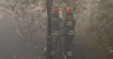 Ukrayna'da Orman Yangını: Altı Ölü, Dokuz Yaralı