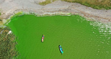 Ulubat Gölü Yeşile Büründü